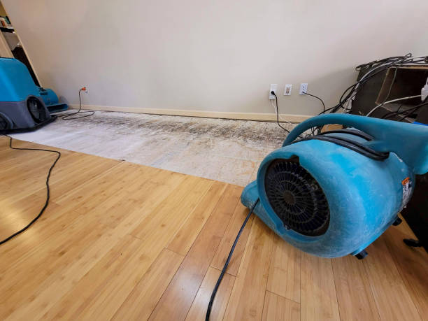 Professional Water Damage Repair technician working in Homeland, CA